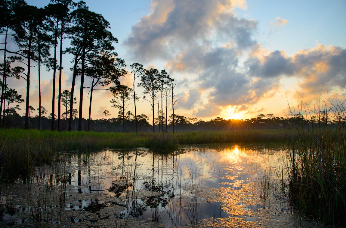 Florida 2012 Coastal Dune Lakes
