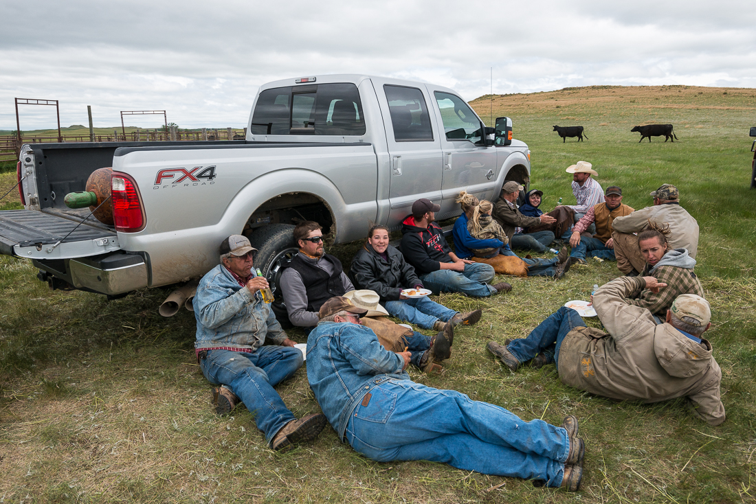 South Dakota’s Spring Cattle Branding