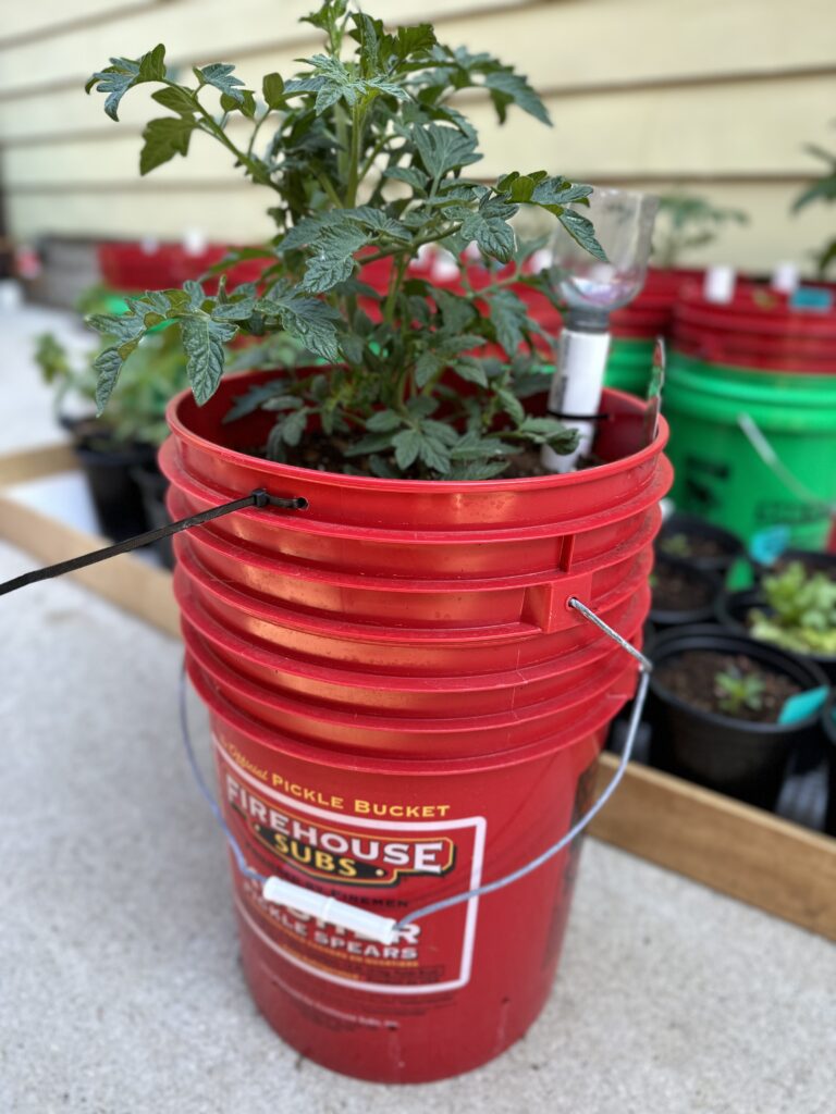 Five Gallon Bucket Planter Jeffrey T. Kastner
