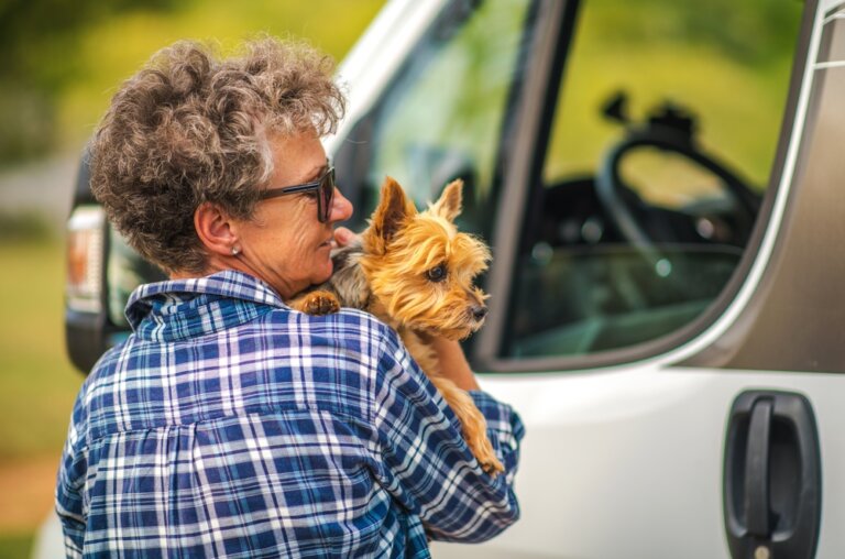 9 Best Class C RVs for Dogs (Ranked, Rated & Reviewed)