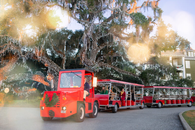 Holly Jolly Jekyll • Jekyll Island, • Vacation, Conservation
