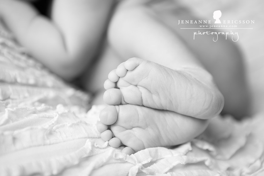 Jeneanne Ericsson Photography » » page 82