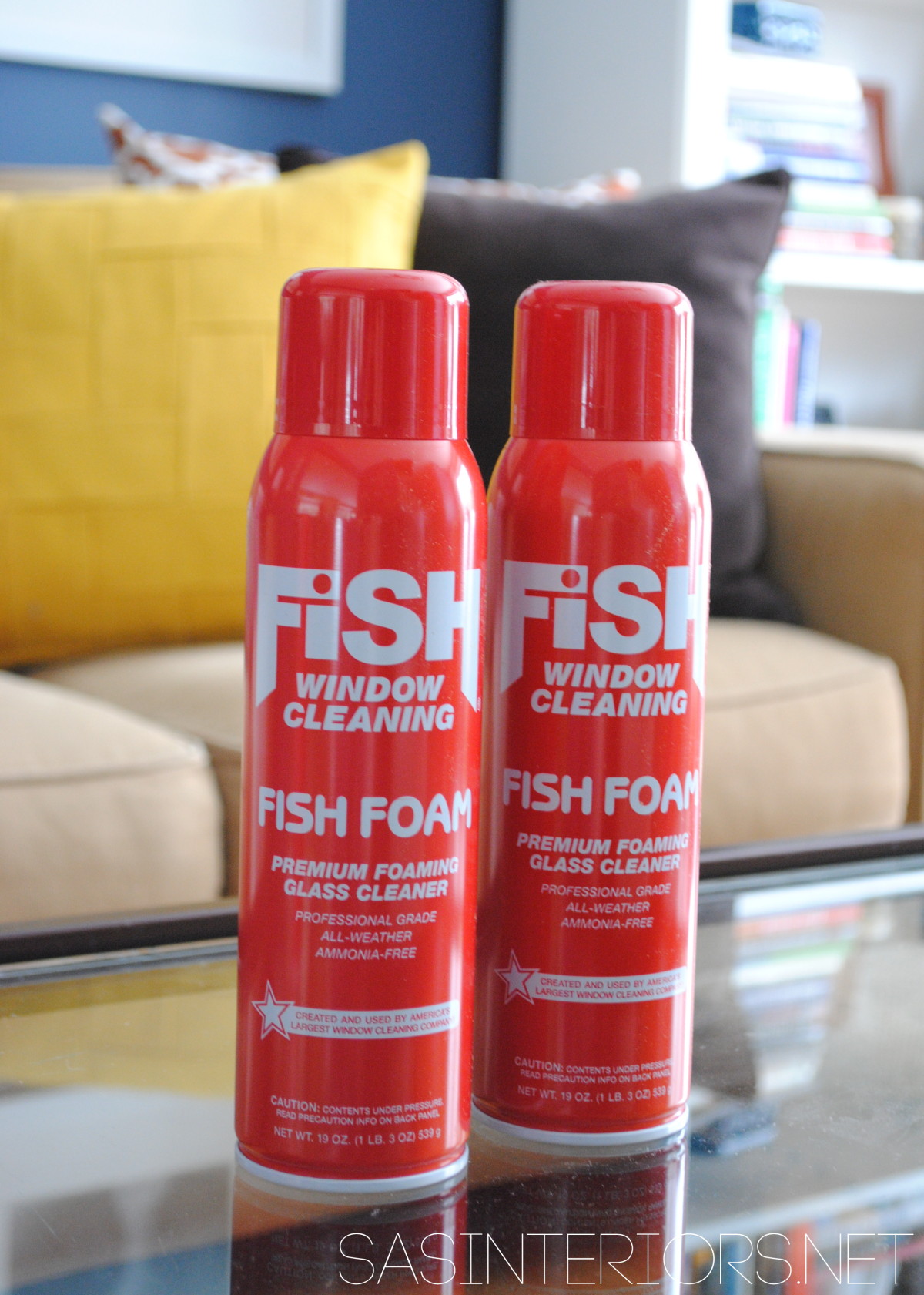 The Ultimate Glass Cleaner Fish Foam Review and Giveaway Jenna Burger
