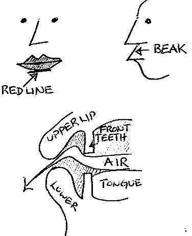 Jennifer Cluff ~ Flute Embouchure Pictures