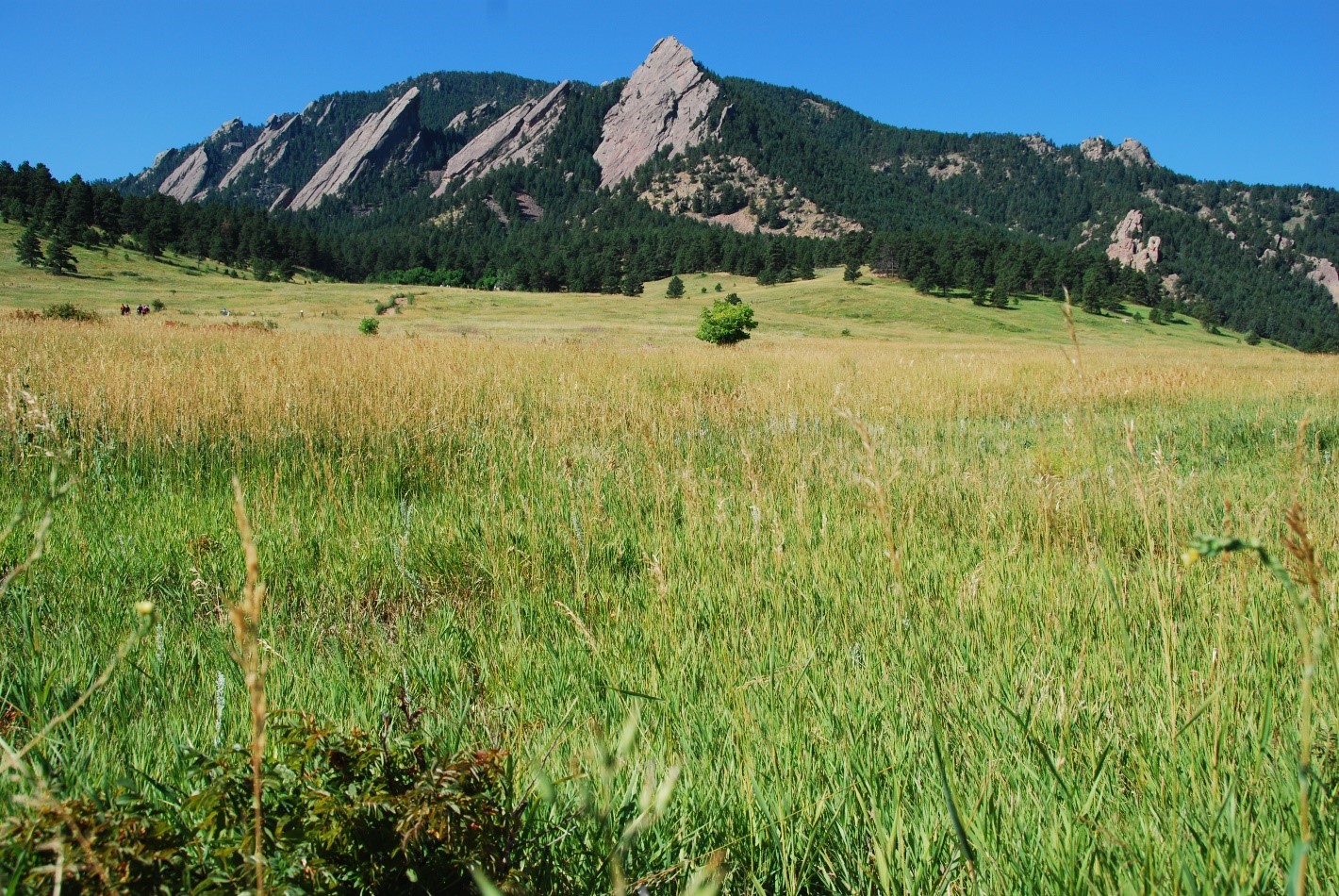 Perfect Picnic Spots Near Boulder, Colorado