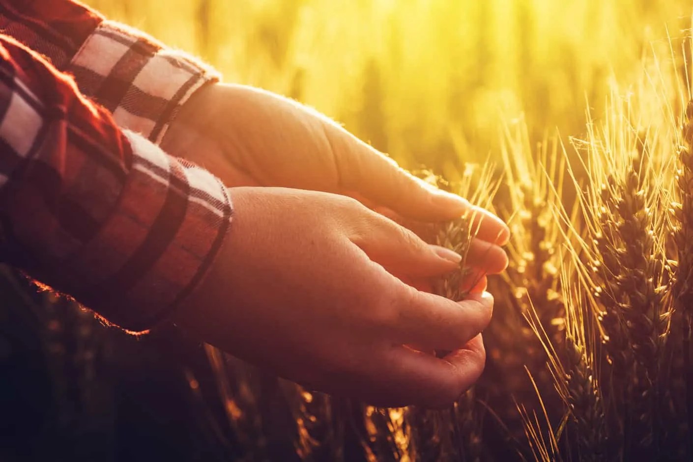 Got Gluten Skin Problems? The Top 20 Signs You Shouldn't Ignore