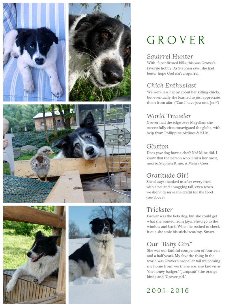 dogs Jennifer Hallock