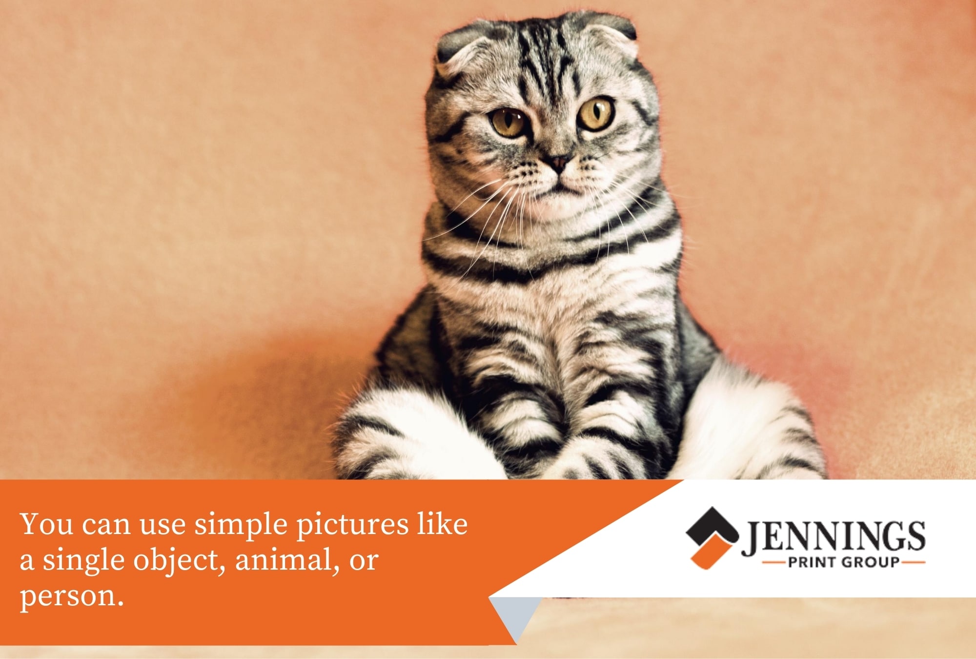 Tips on Making Your Poster Stand Out Jennings Print