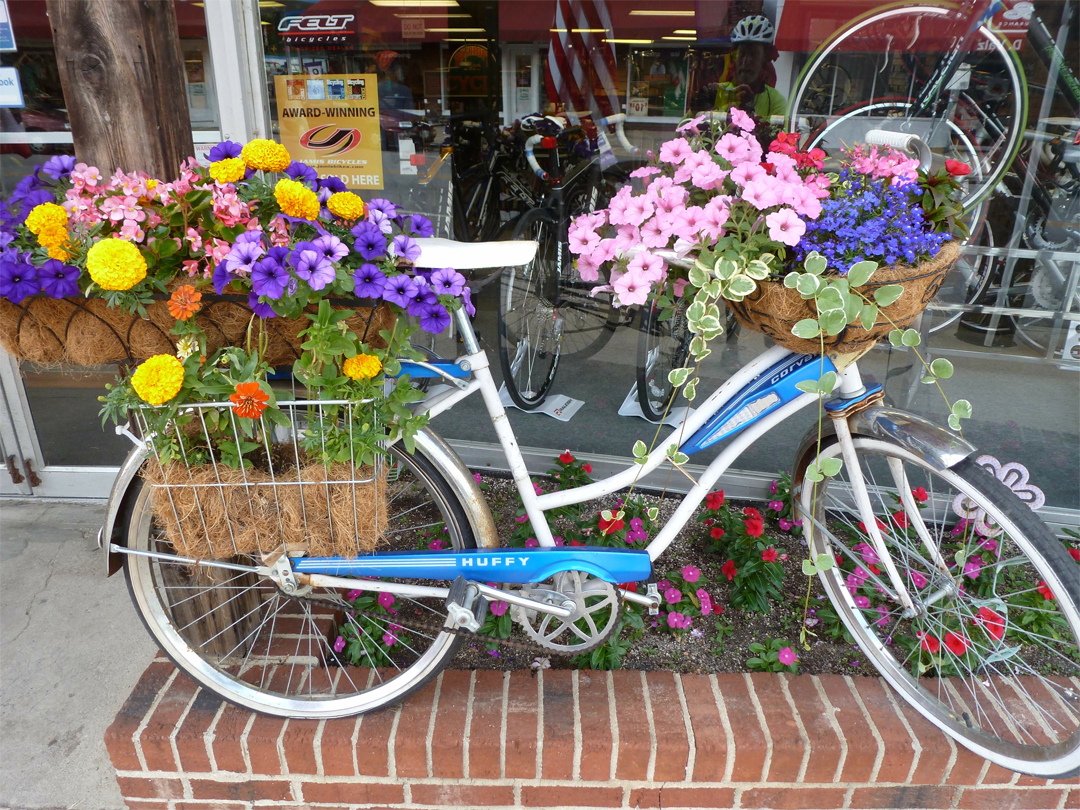 20,087 Bicycle Flowers Stock Photos, Images & Pictures