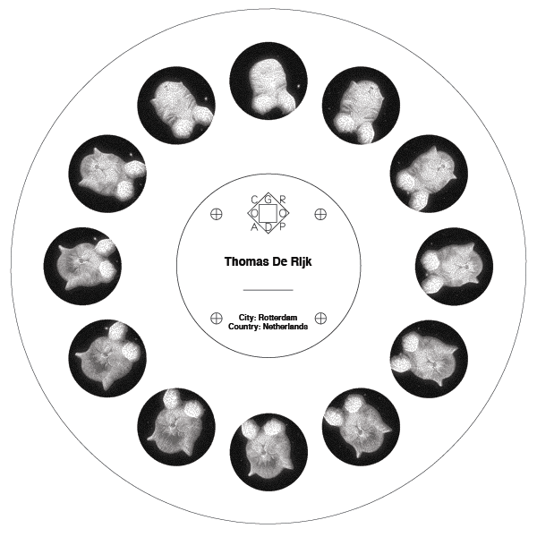 A Portable Animated Gif Player!