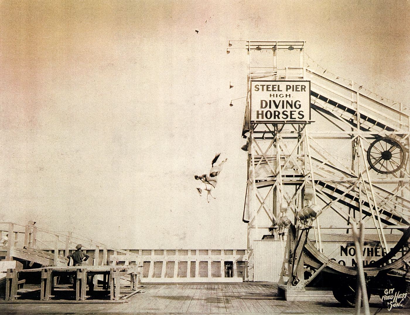 Diving horses and wacky prizes to the Jersey Shore of