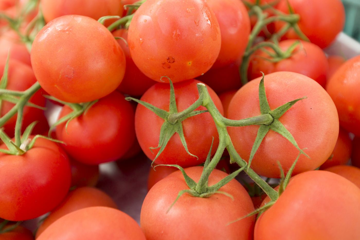 The 'rules' for making a perfect Jersey tomato sandwich Jersey's Best