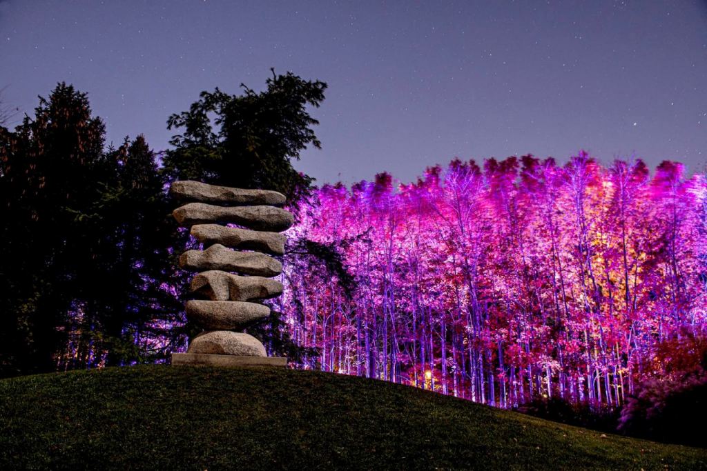 New exhibit at Grounds For Sculpture brings art and nature to life at night Jersey's Best