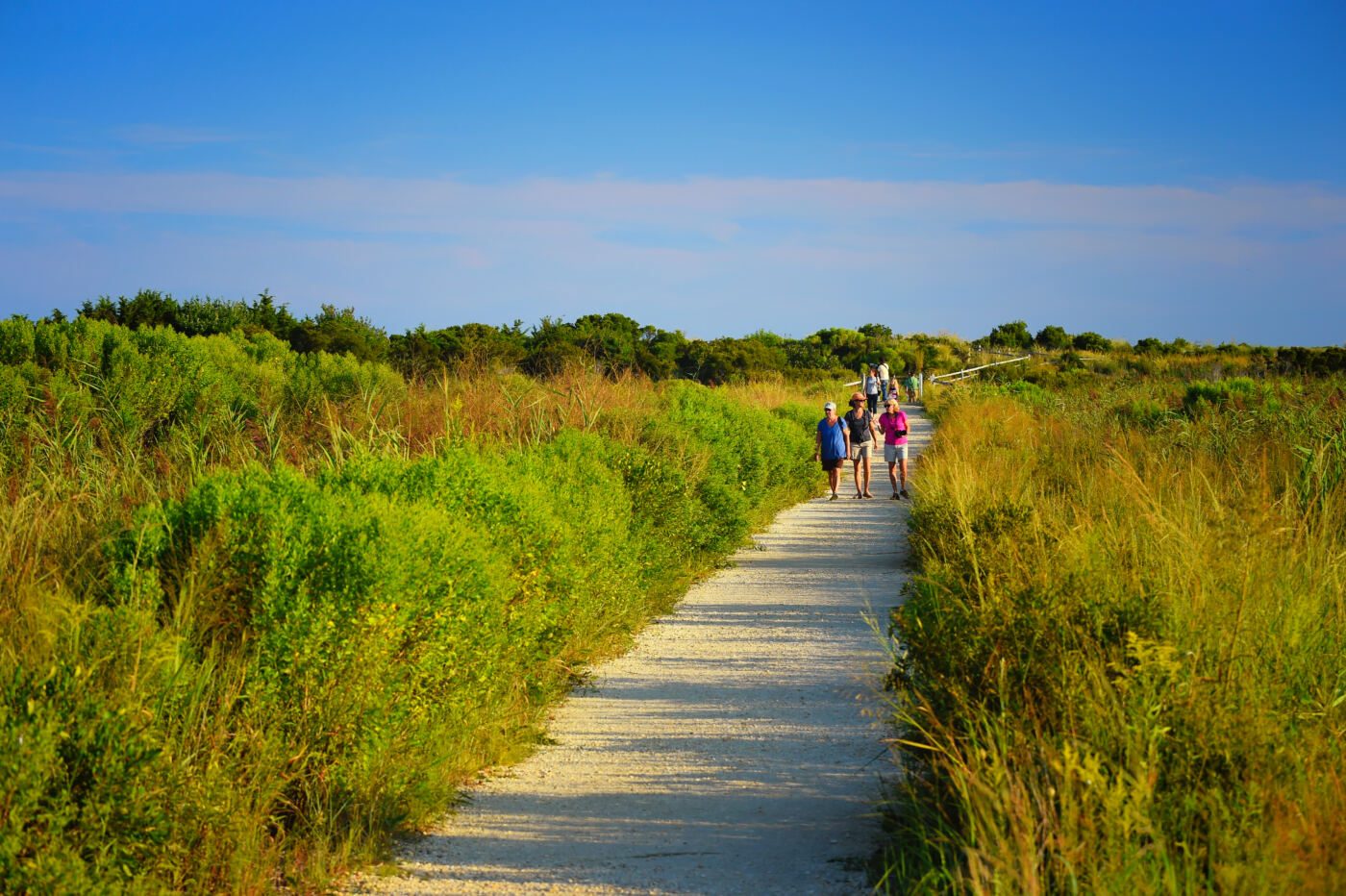 Uncover the hidden side of the Jersey Shore on a trek down the Coastal