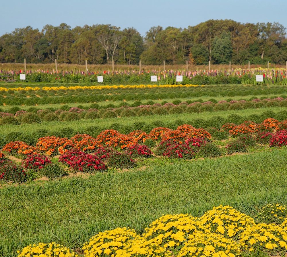 Memorable outdoor excursions abound this fall in Monmouth County