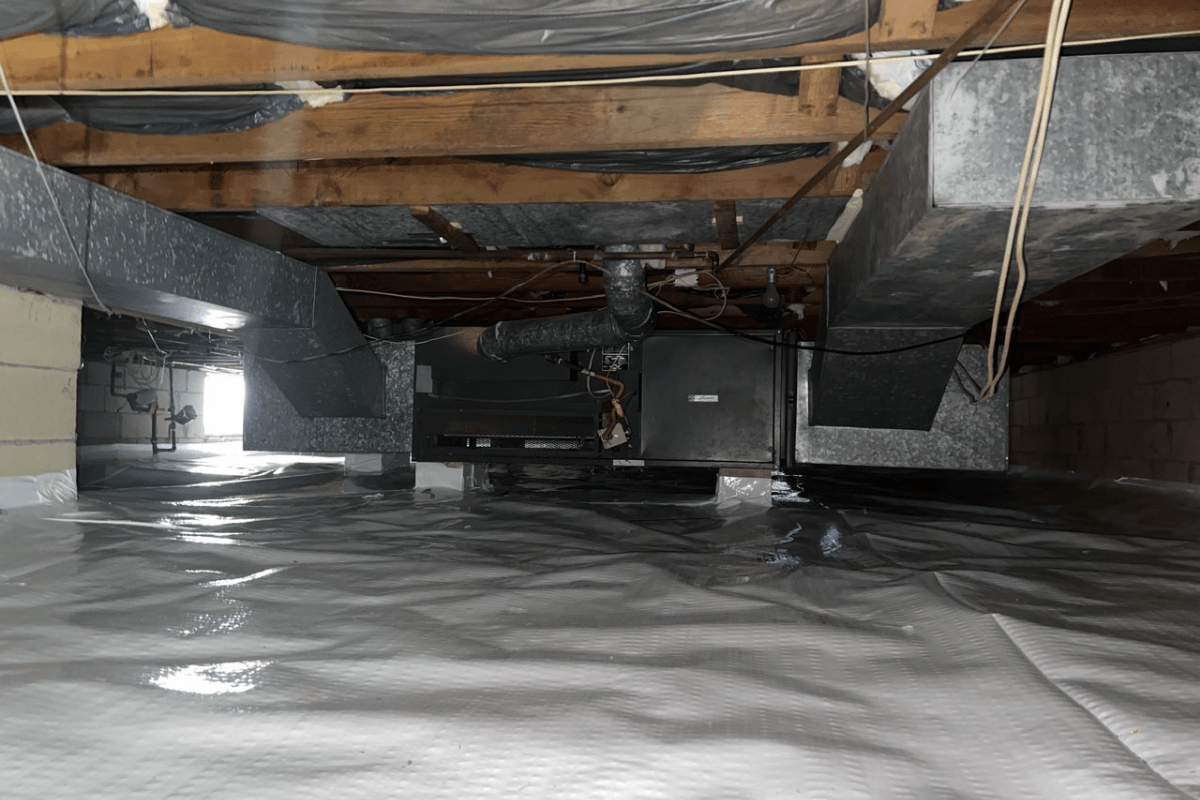 How to Neutralize Crawl Space Odors Jersey Shore Crawlspace