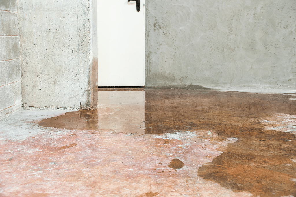Signs of Water Damage in Your Basement What to Look Out For