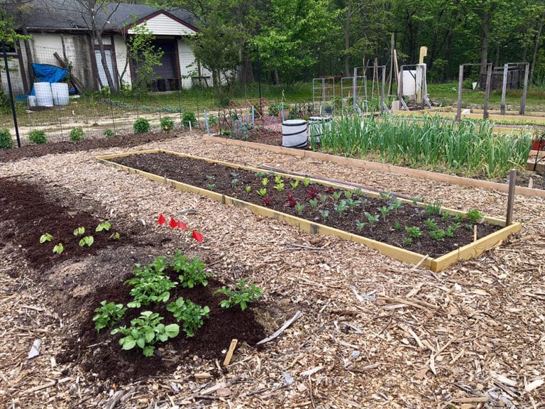 Howell Organic Community Gardens Growing Strong