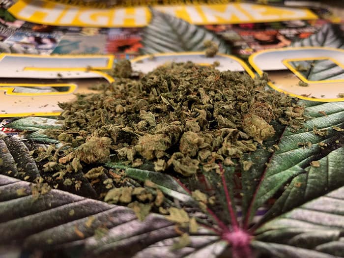 Brick Has Questions About Legalizing Marijuana Jersey Shore Online