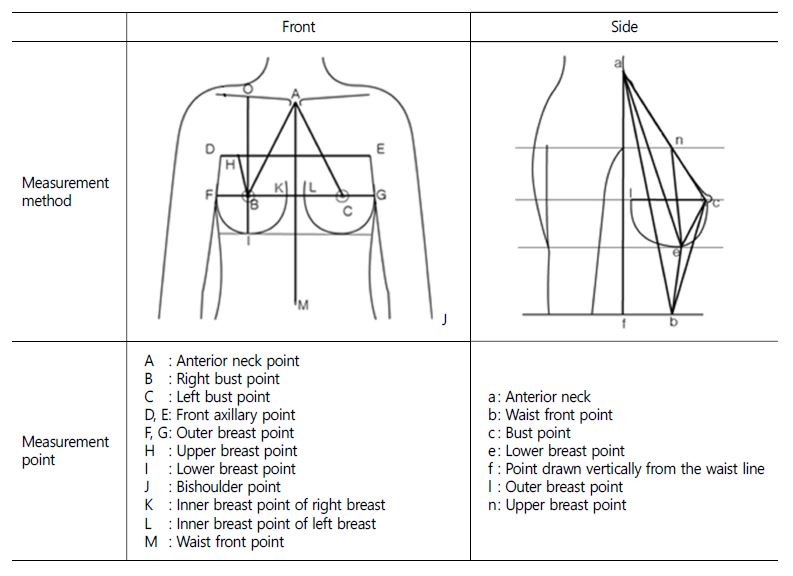 Bust Line Measurement / Make certain the measuring tape is snug, but