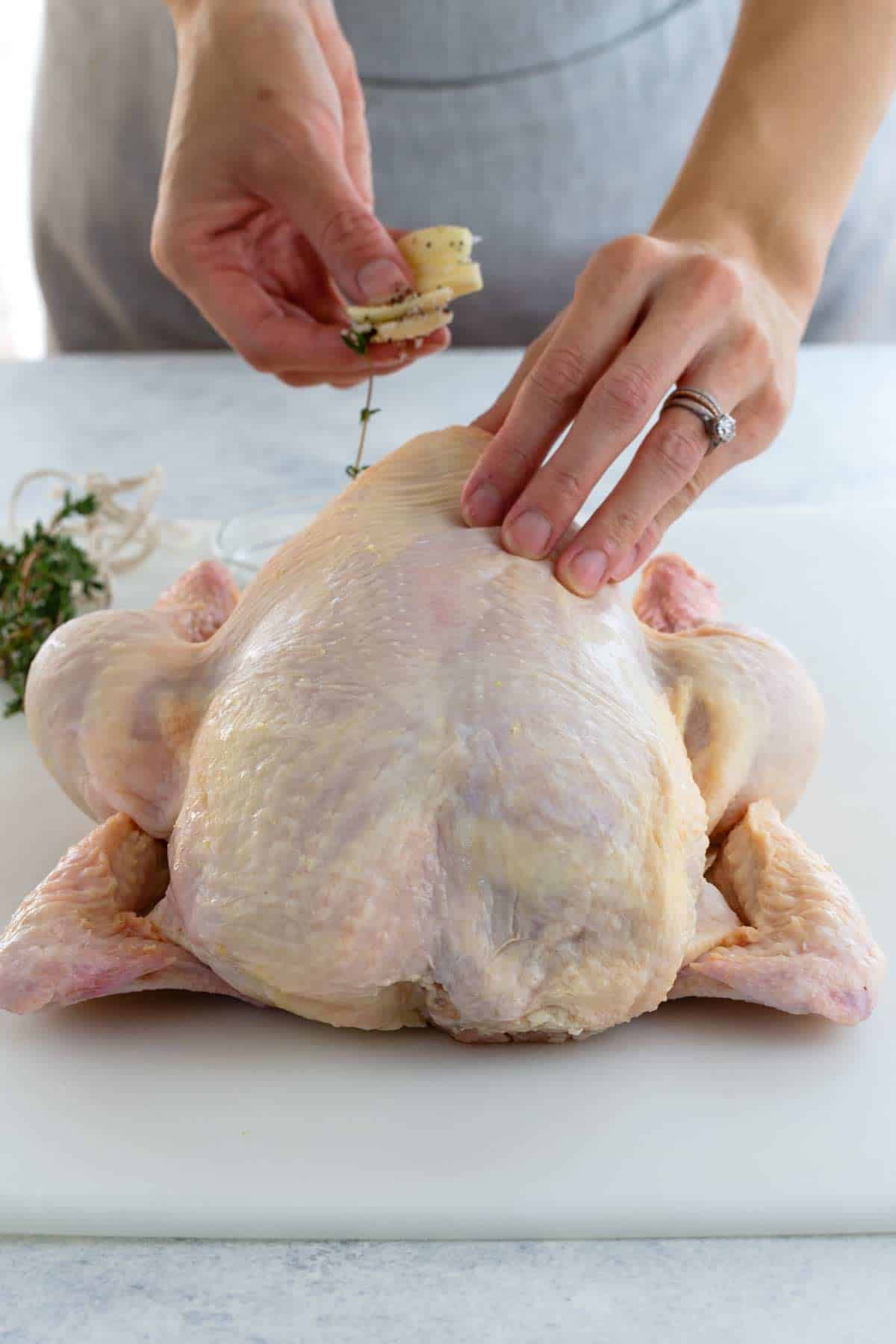 Roasted Chicken (StepbyStep) Jessica Gavin