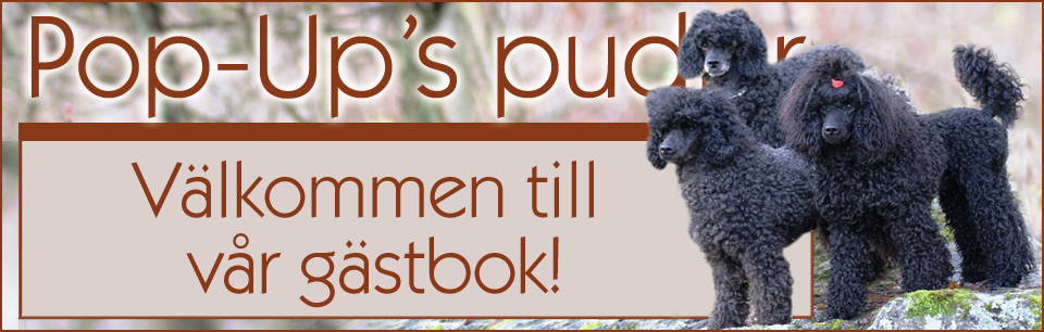 Webvoter Guestbook PopUps pudelgästbok