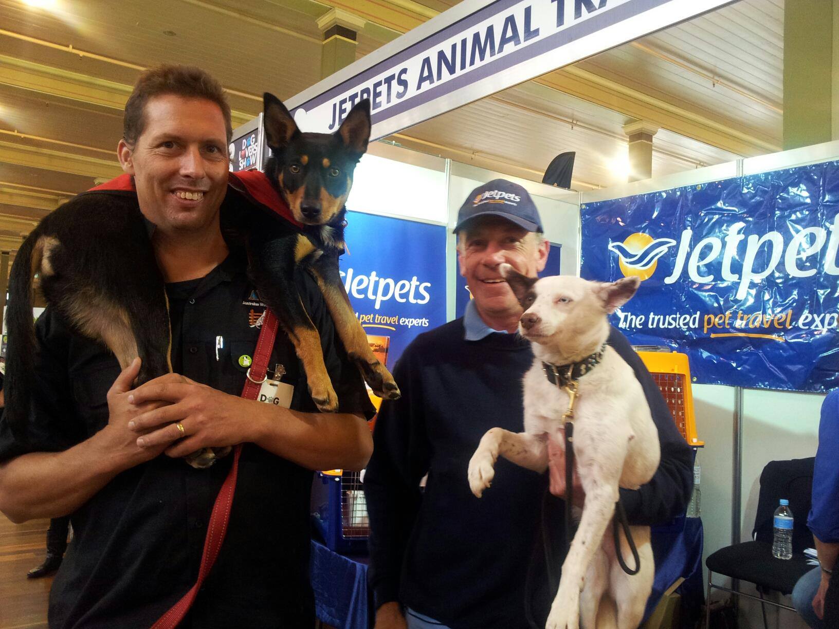 Australian Working Dog Rescue - Jetpets Au Pet Travel Consultants