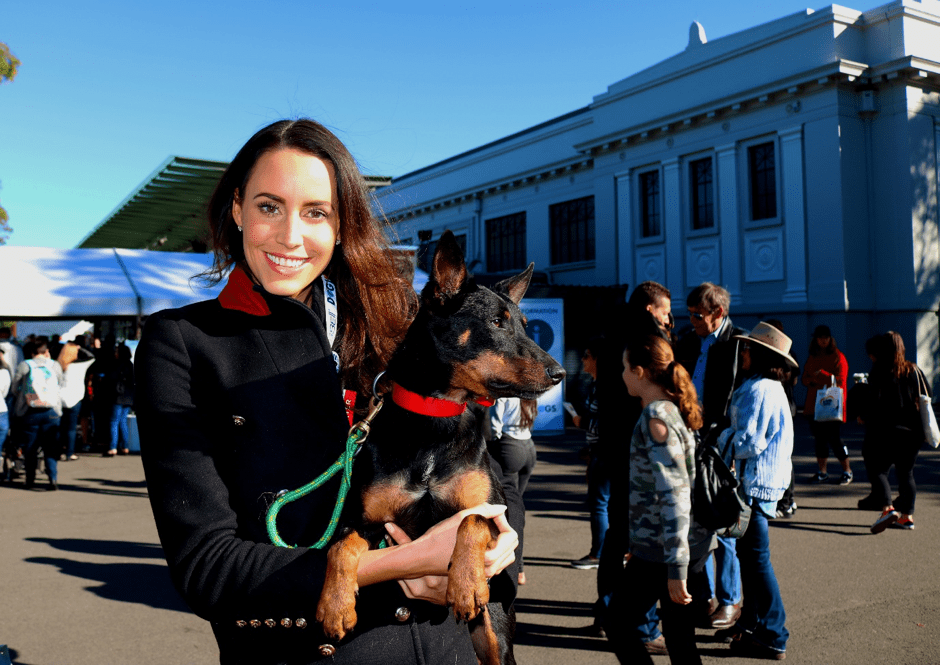 Jetpets Supports Australian Working Dog Rescue Jetpets AU