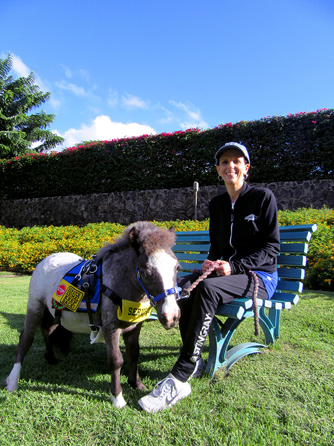 asstance animal Archives Jetpets AU