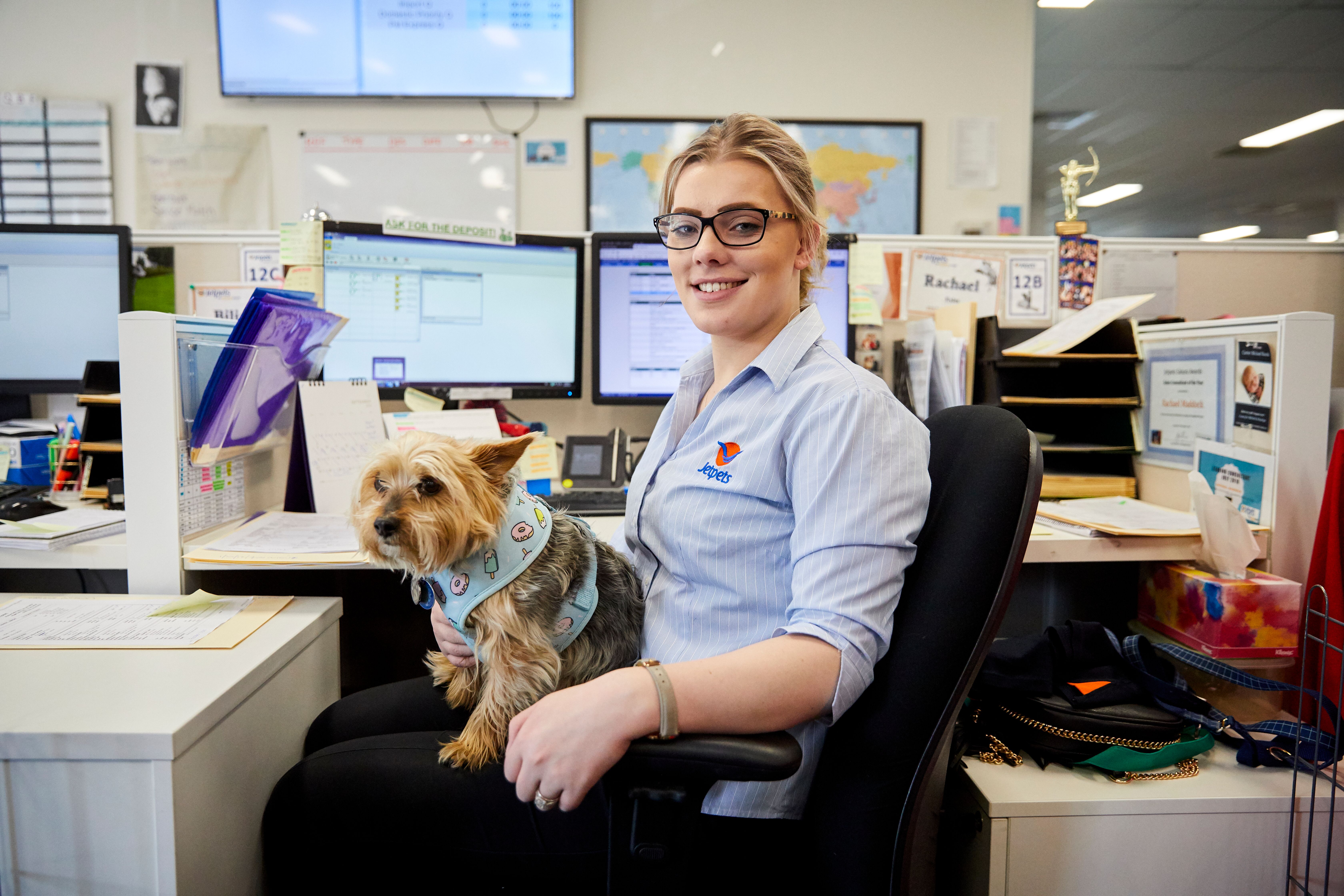 6 Benefits of a PetFriendly Workplace Jetpets AU