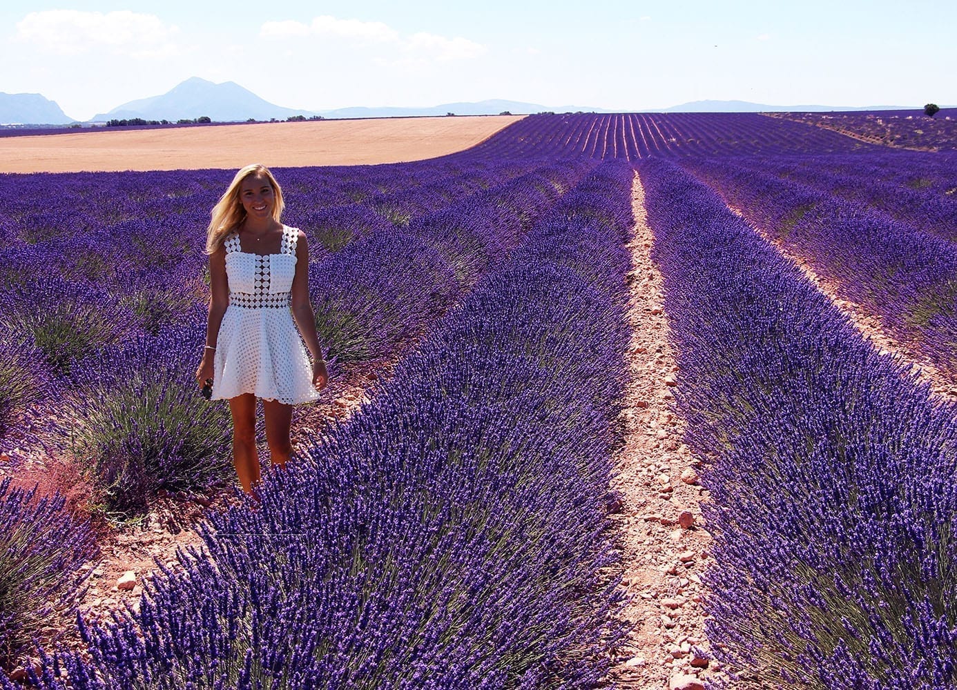 The Lavender Fields of Provence, France JetsetChristina