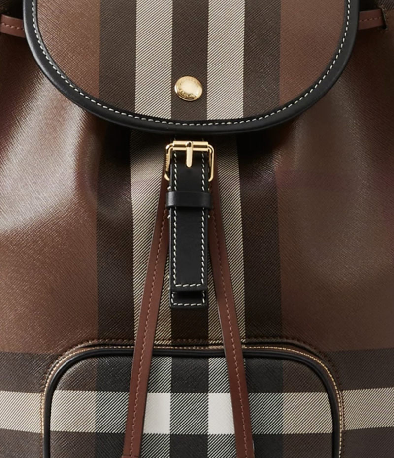 5 Top Luxury Women's Backpacks For Travel 2023 Jetsetty