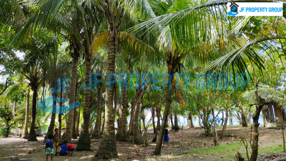 Beach Lot for Sale in Brgy. Bantigue, Ormoc City P3,000 per sq meters