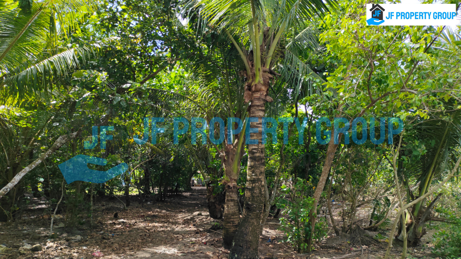 Beach Lot for Sale in Brgy. Bantigue, Ormoc City P3,000 per sq meters