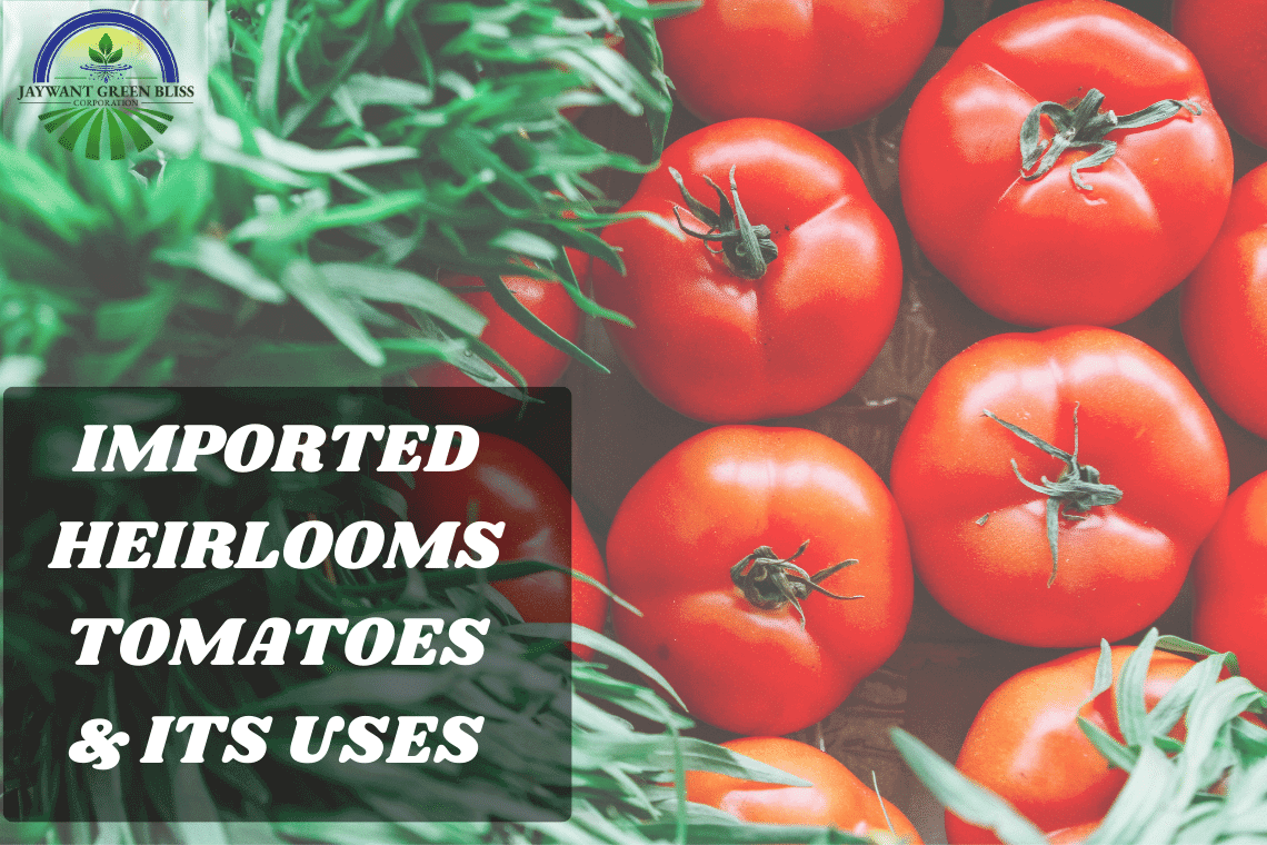 Imported Heirloom Tomatoes Exotic Fruits And Vegetables Suppliers In