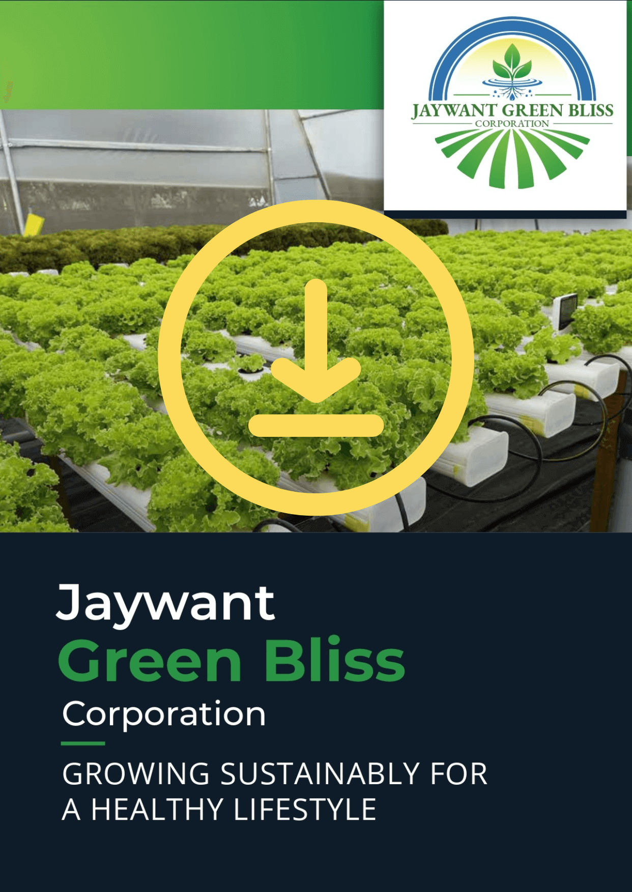 Exotic Vegetable Supplier In Pune Edible flower Fresh Herbs