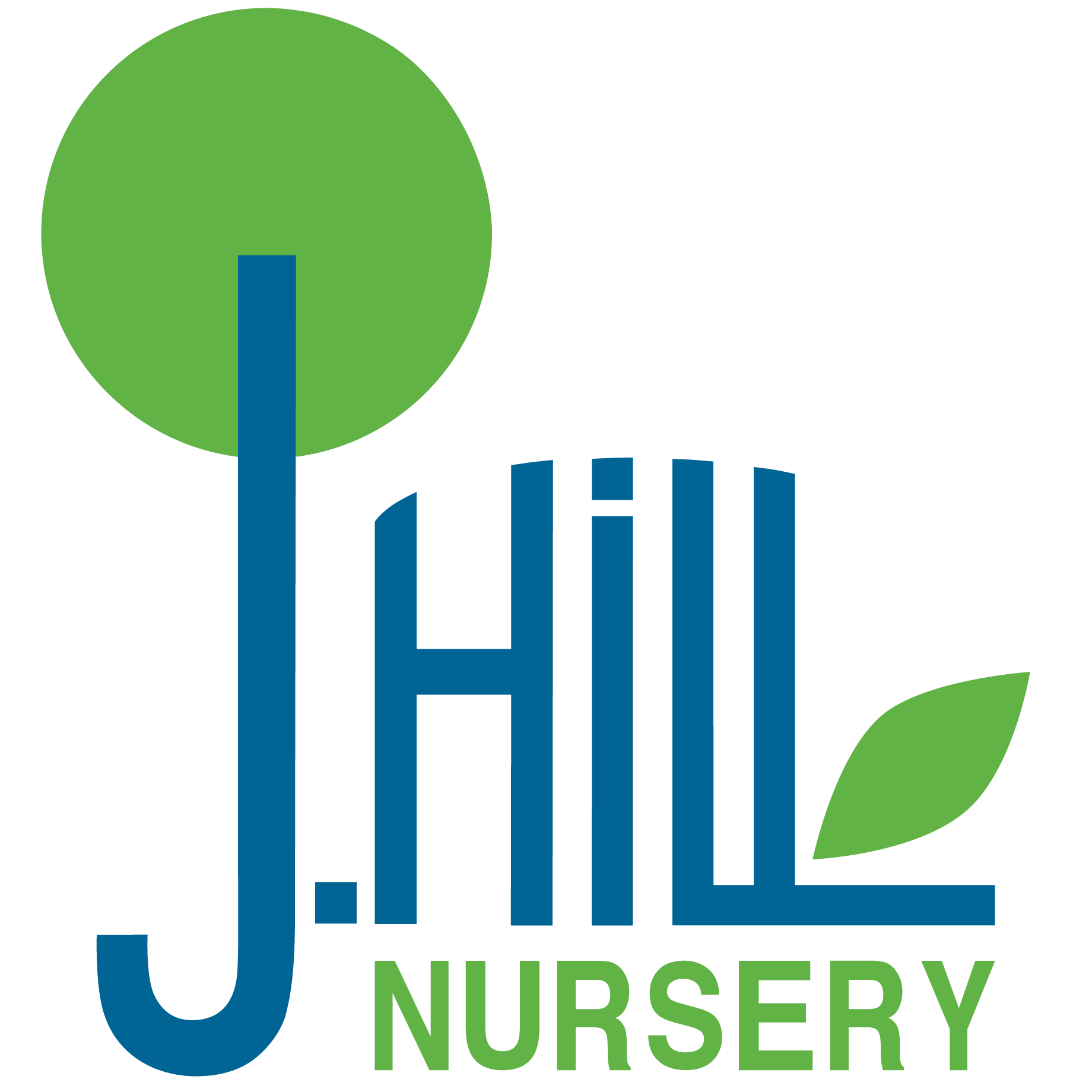 Evergreens ⋆ J.Hill Nursery