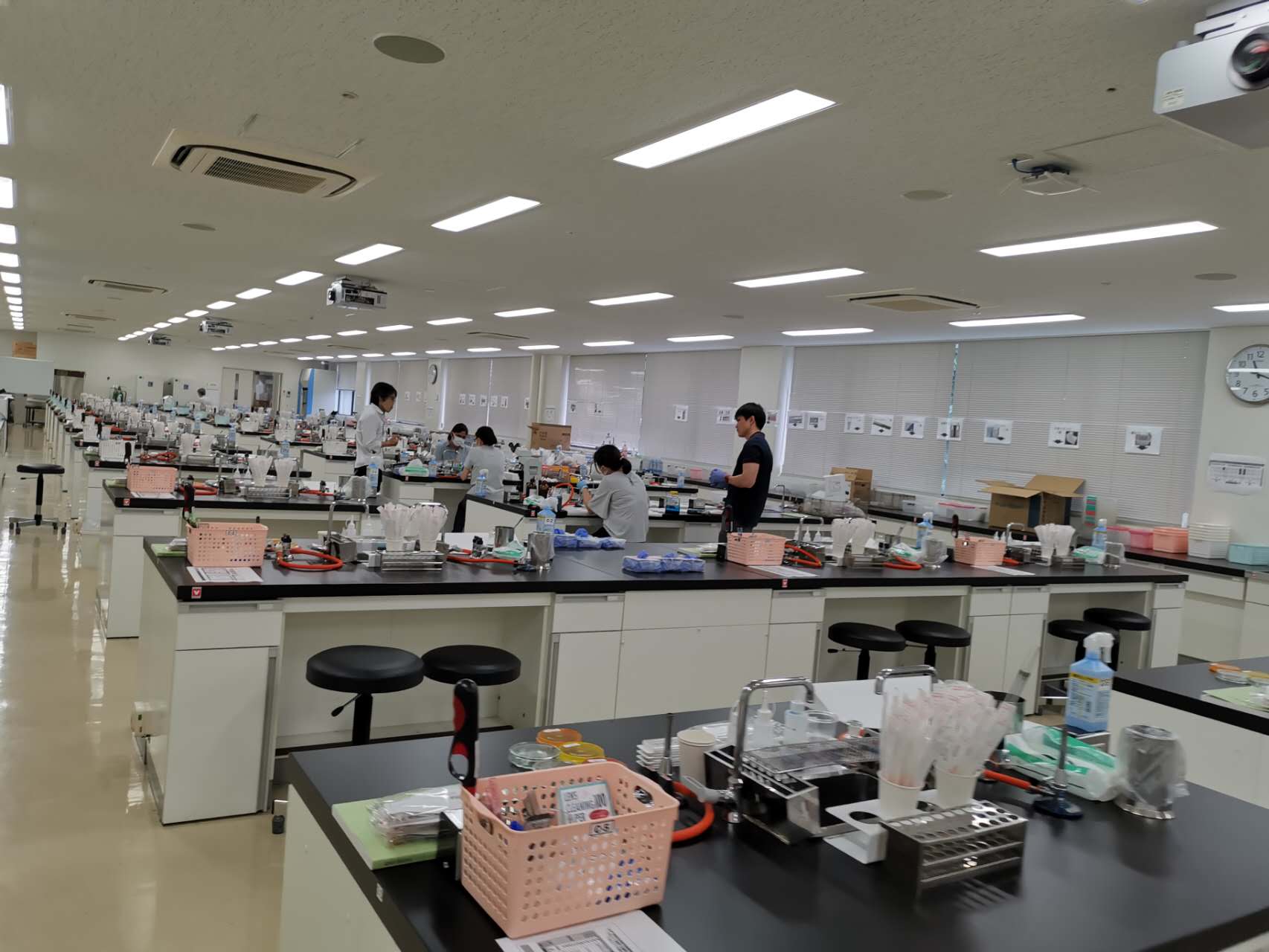 自治医科大学細菌学部門