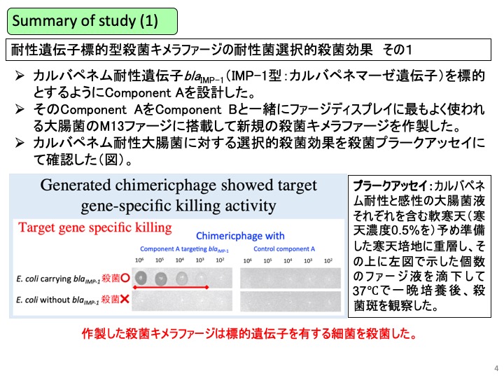 自治医科大学細菌学部門_インタビューjp