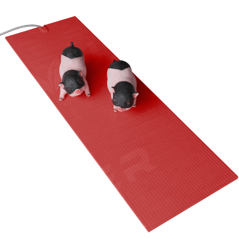 China Graphene Pig Farming Equipment Smart Nursery Baby Piglets Heating Pad Manufacturers and