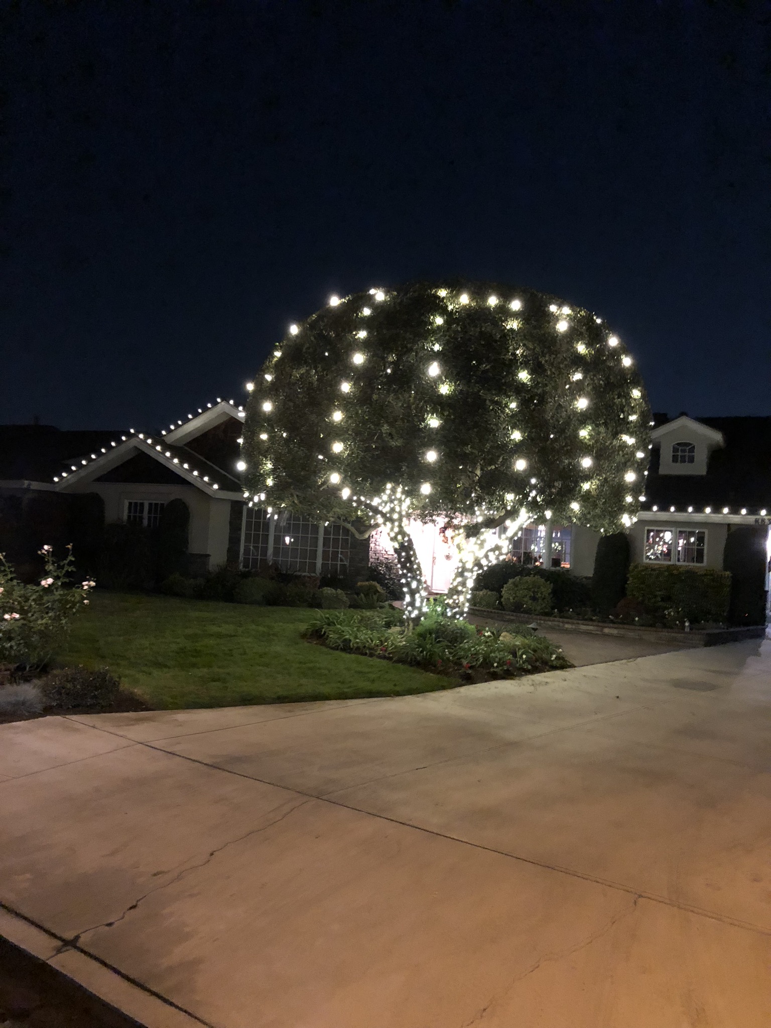 Christmas Tree Decorating Service
