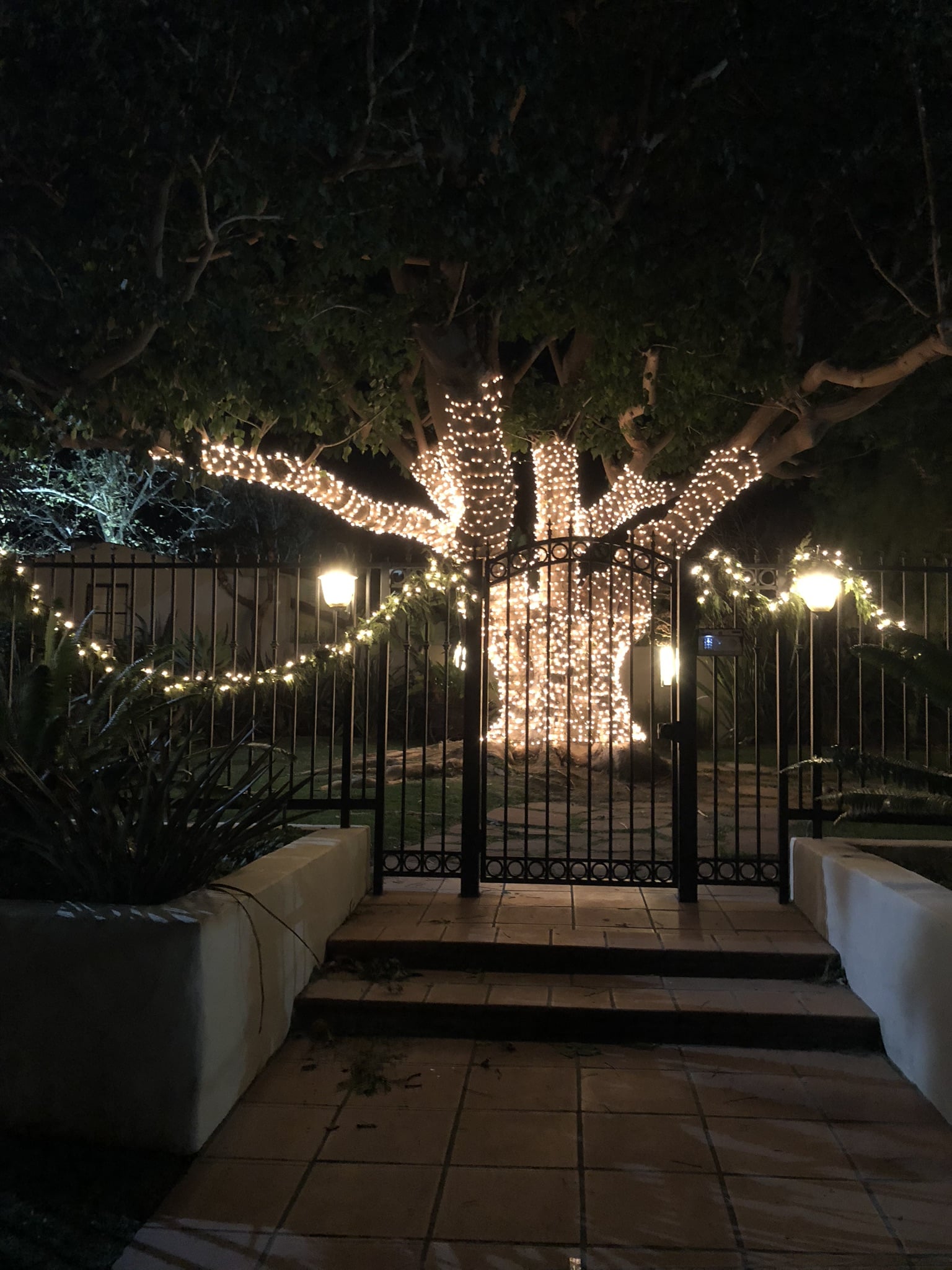 Christmas Tree Decorating Service