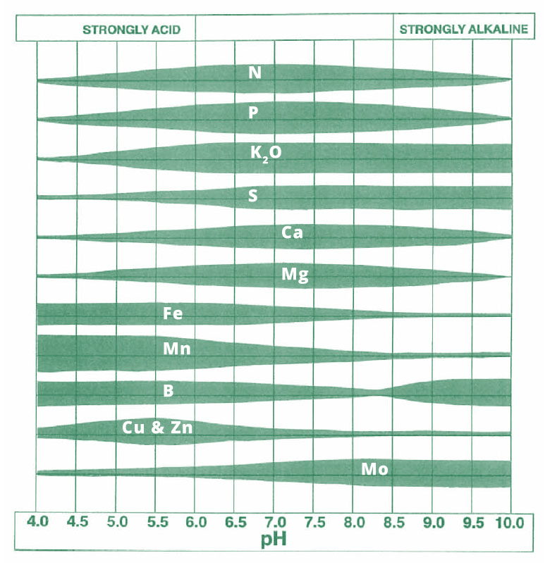 Yield Plus JJ Agriservice