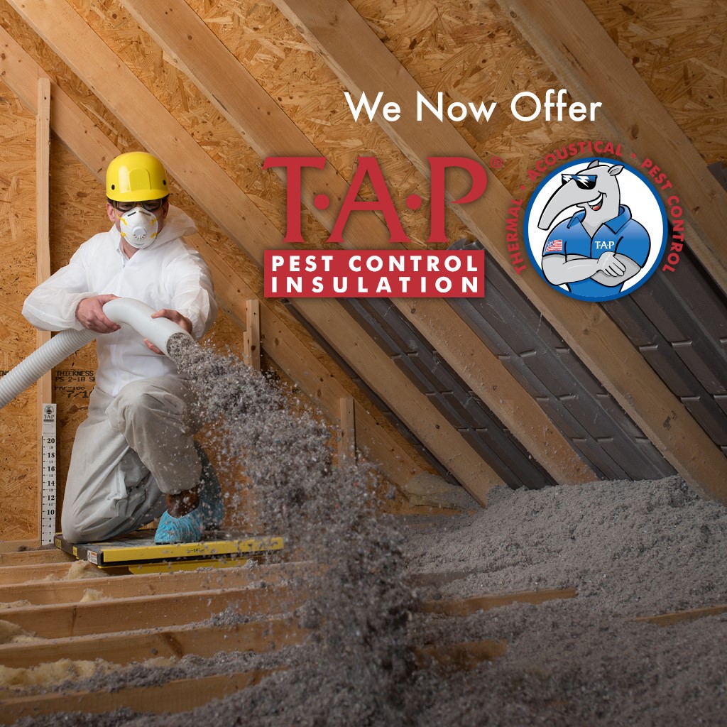 TAP® Pest Control Insulation J&J Exterminating
