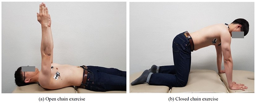 Journal of Musculoskeletal Science and Technology