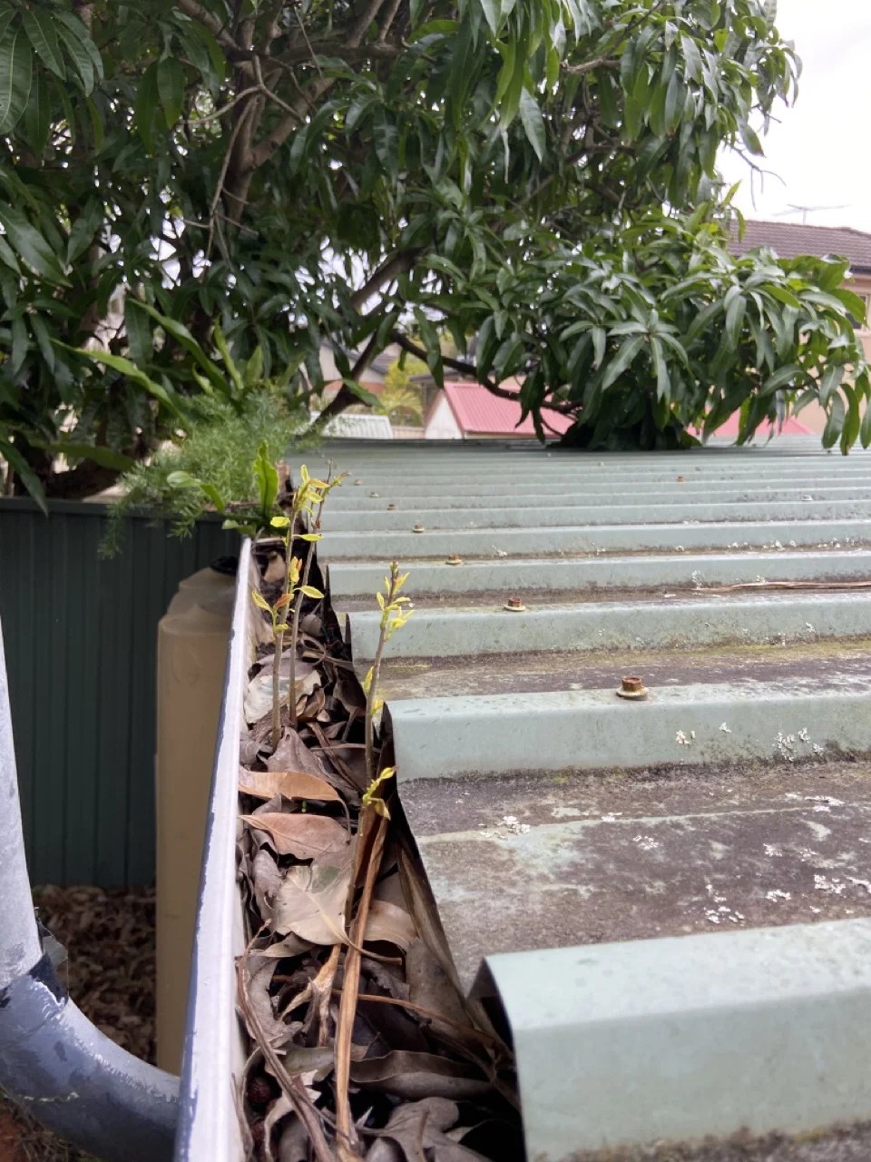 Gold Coast Gutter Cleaning Services JK Gutter Cleaning