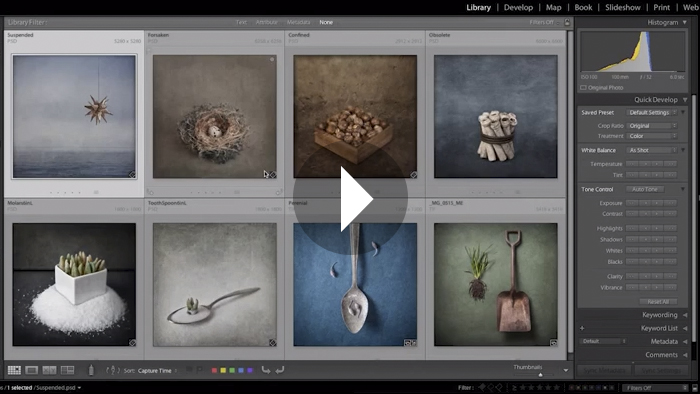 Lightroom Tutorials by Julieanne Kost