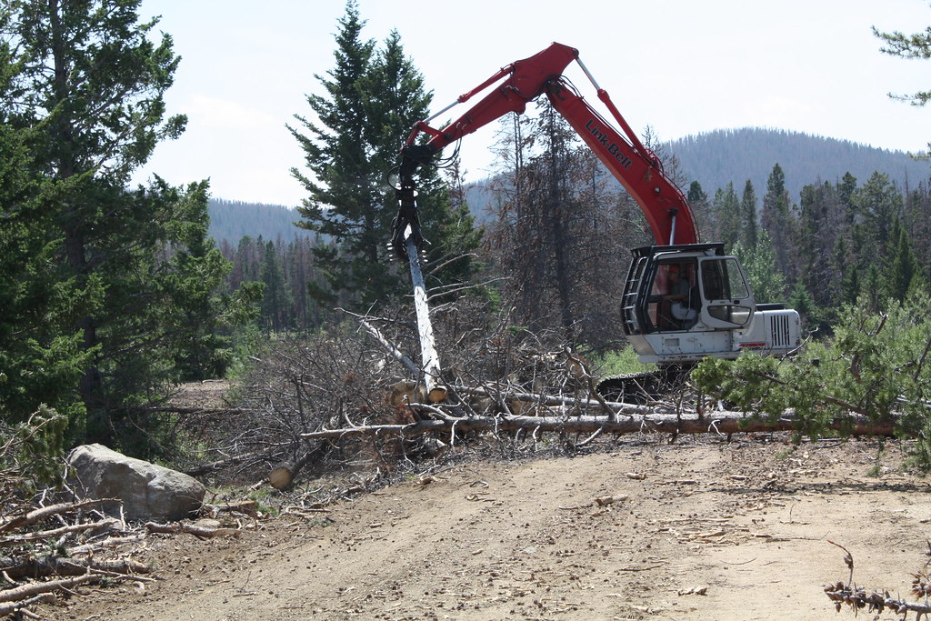 Is it Expensive to have Tree Removal After Storm?