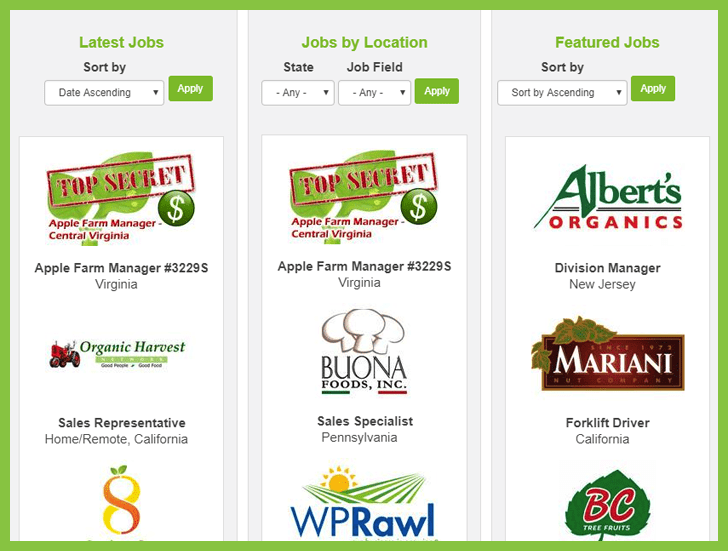 New Look, Same Joe Joe Produce Produce jobs Produce careers