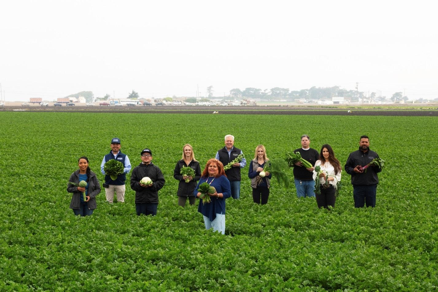 Ocean Mist Farms Joe Produce Produce Jobs, Produce Careers